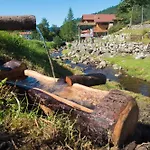 Le Couaroge Et 4* La Bresse