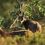 Le Couaroge Et Aparthotel 4*