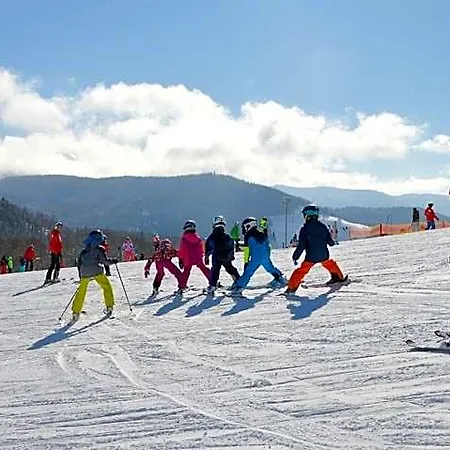 Le Couaroge Et 4* La Bresse