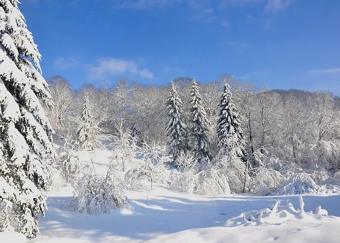 Le Couaroge Et 4* La Bresse