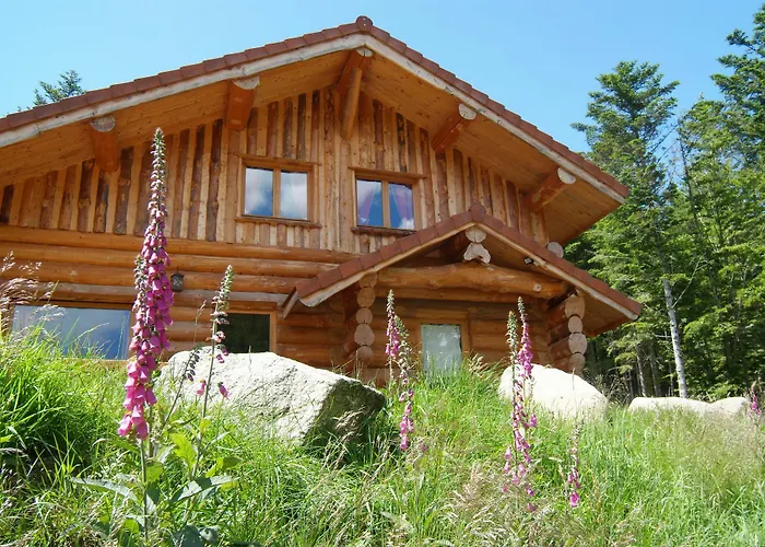 Le Couaroge Et Апарт-отель Ла-Бресс