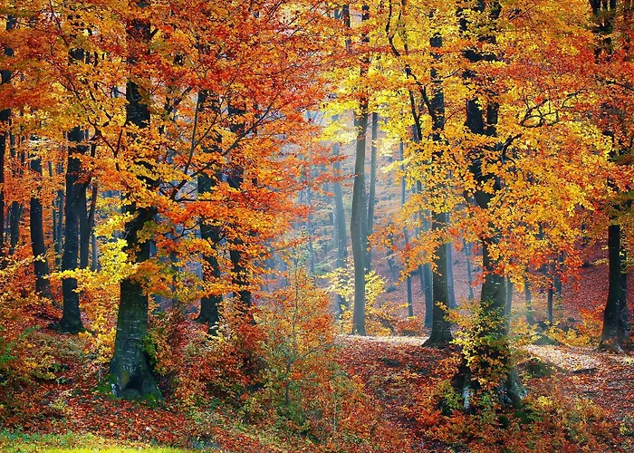 拉可罗日公寓式酒店 拉布雷斯